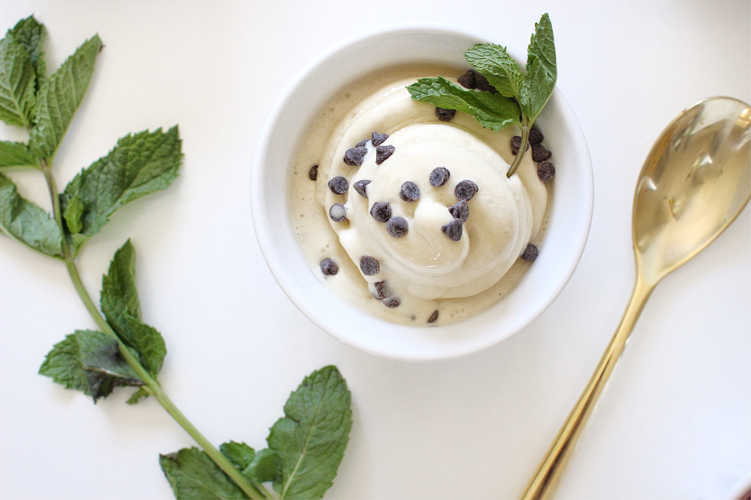 Dairy-Free Ice Cream