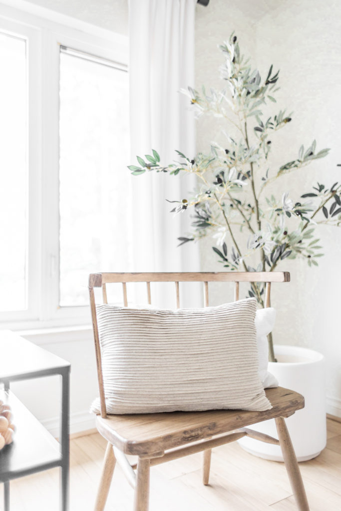 Affordable Throw Pillows