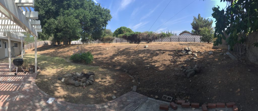 A Modern Backyard Makeover
