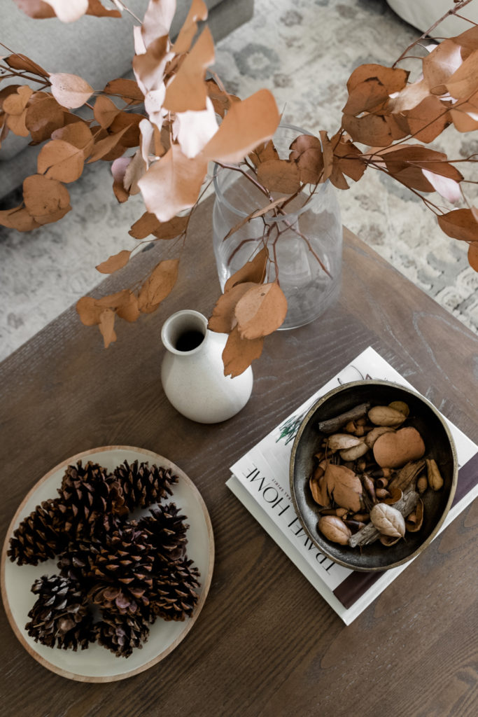 Fall Coffee Table Decor Ideas