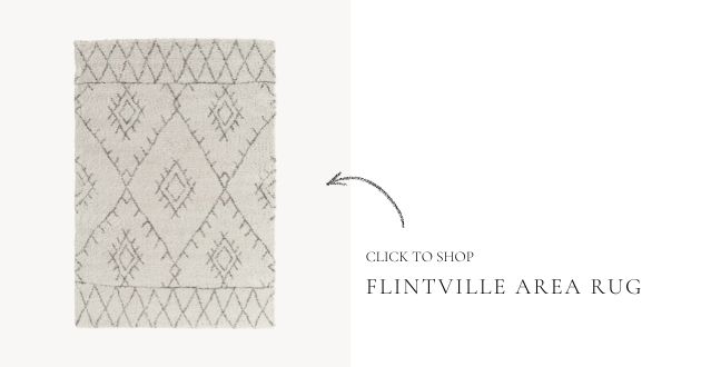Rug Roundup + A 60% Off Code!