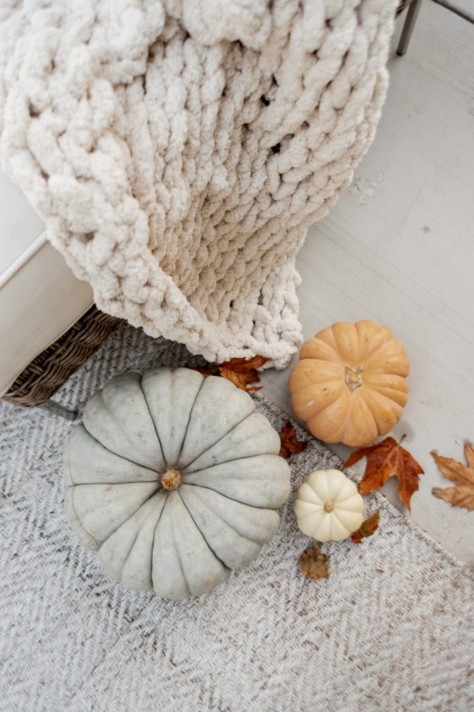 It's Fall In Our Backyard!