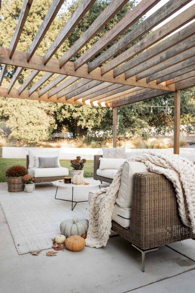 It's Fall In Our Backyard!