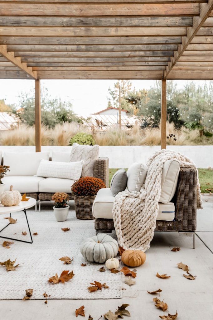 It's Fall In Our Backyard!