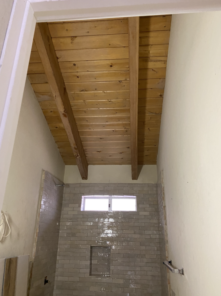 Elmwood Lake House: Renovation update, Exterior Rendering, and Kitchen Design!