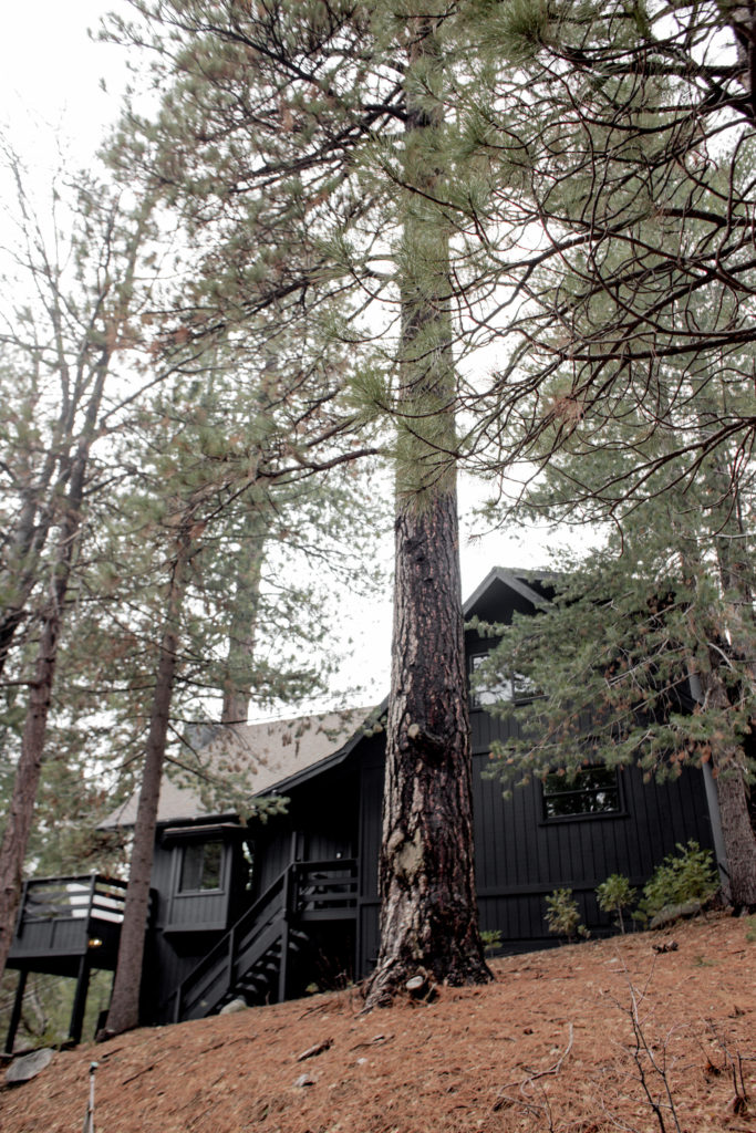 Elmwood Lake House Black Exterior Reveal
