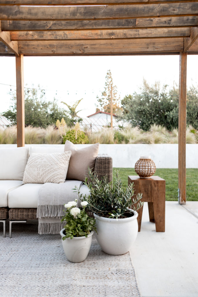 Go-To Greens: My Must Have Plants for Your Spring Landscape