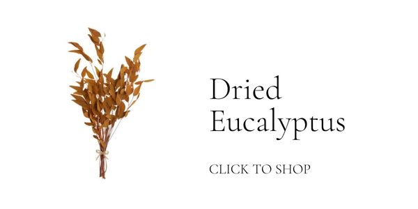 Fall Kitchen Inspiration