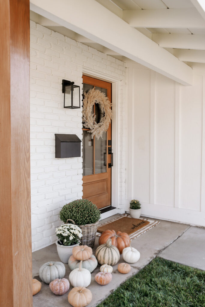 My Plant Hack You Need to Know for Fall!