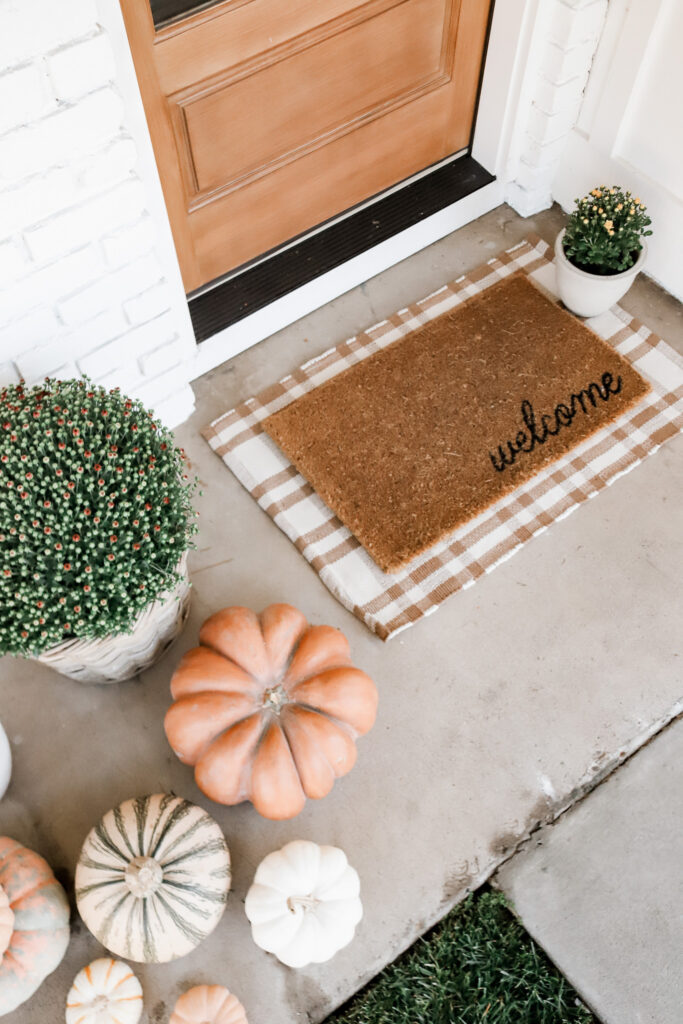 My Plant Hack You Need to Know for Fall!