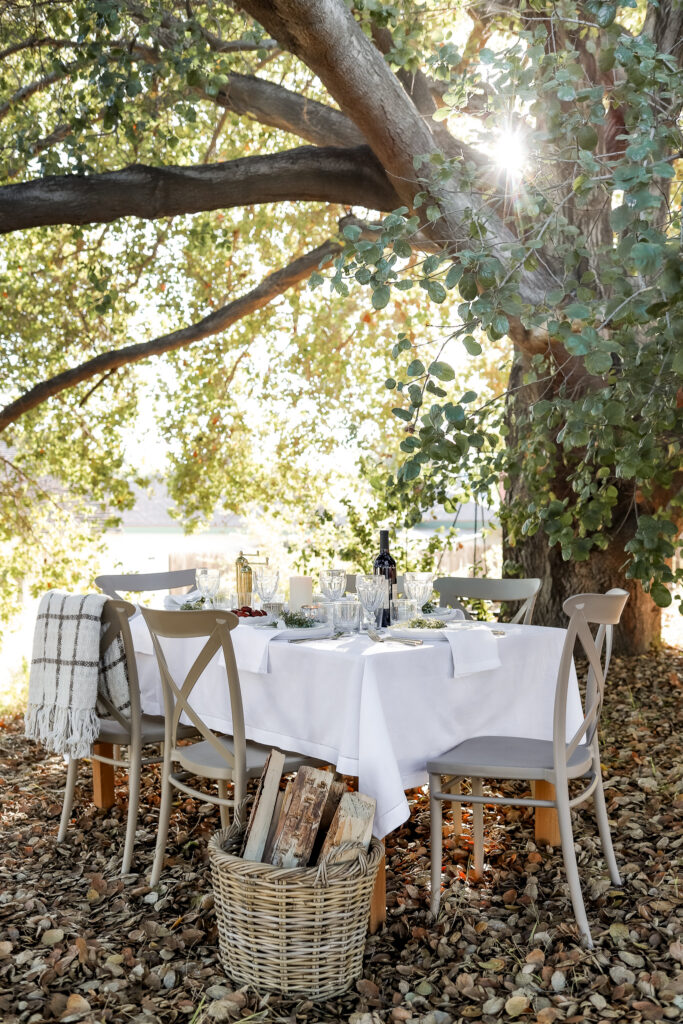 A California Christmas: Outdoor Holiday Table