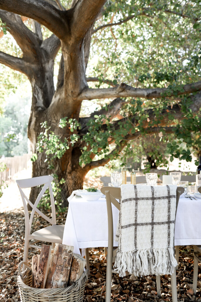 A California Christmas: Outdoor Holiday Table