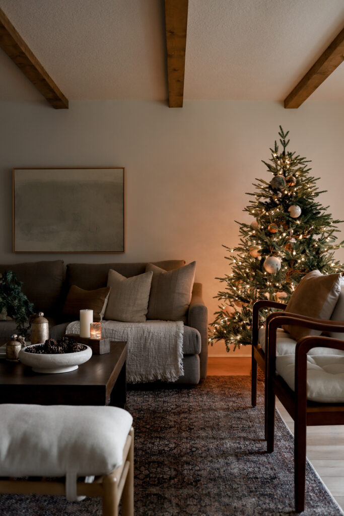 Our Christmas Living Room