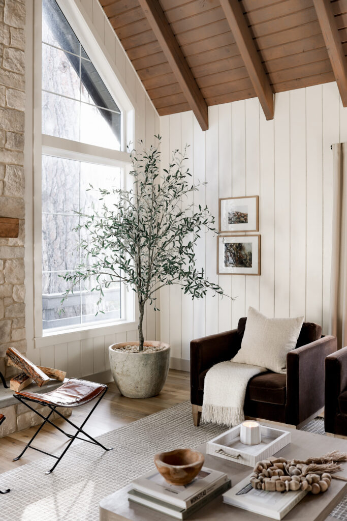 Green Ambiance: A Closer Look at Three Faux Trees From Our Home